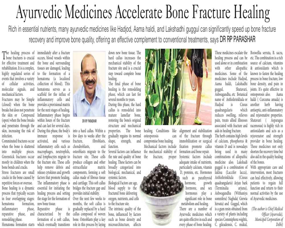 Ayurvedic Medicines Accelerate Bone Fracture Healing