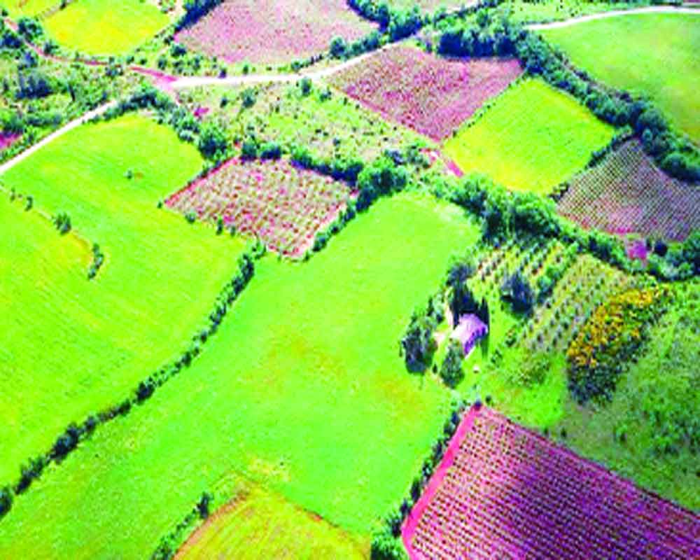 Bihar's special land survey: A step towards resolving land disputes